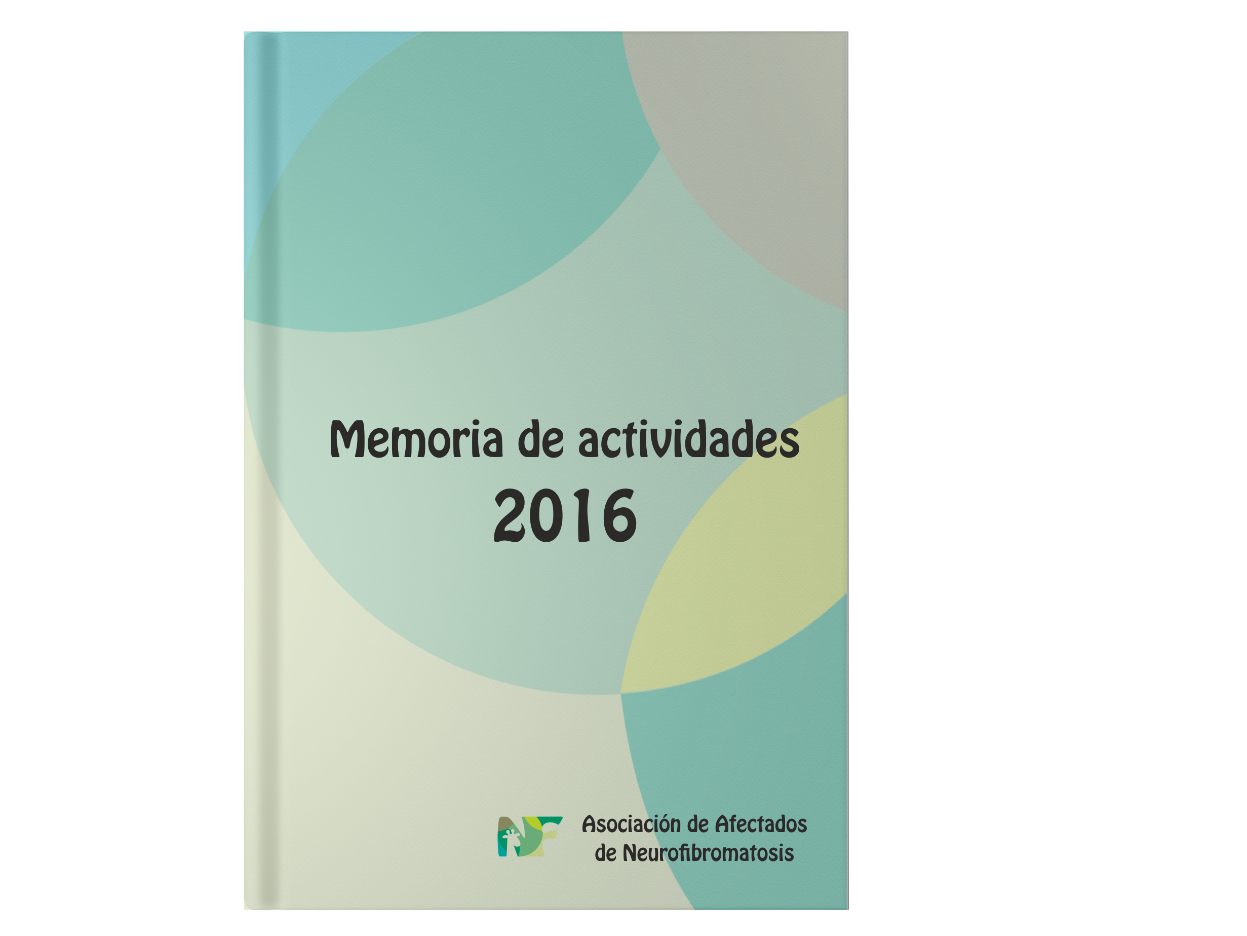 MEmoria de Actividades AANF 2016
